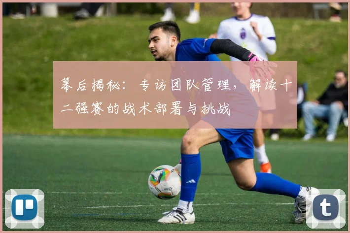 幕后揭秘：专访团队管理，解读十二强赛的战术部署与挑战