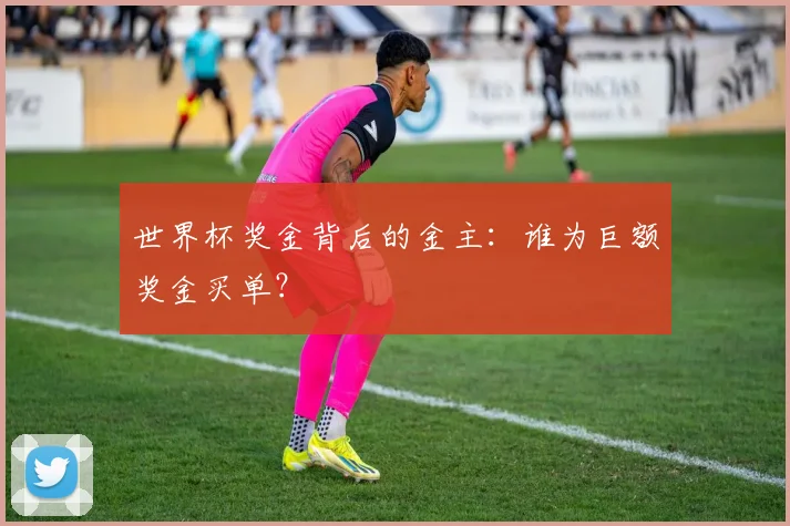 世界杯奖金背后的金主：谁为巨额奖金买单？