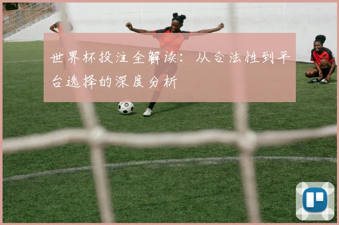 世界杯投注全解读：从合法性到平台选择的深度分析